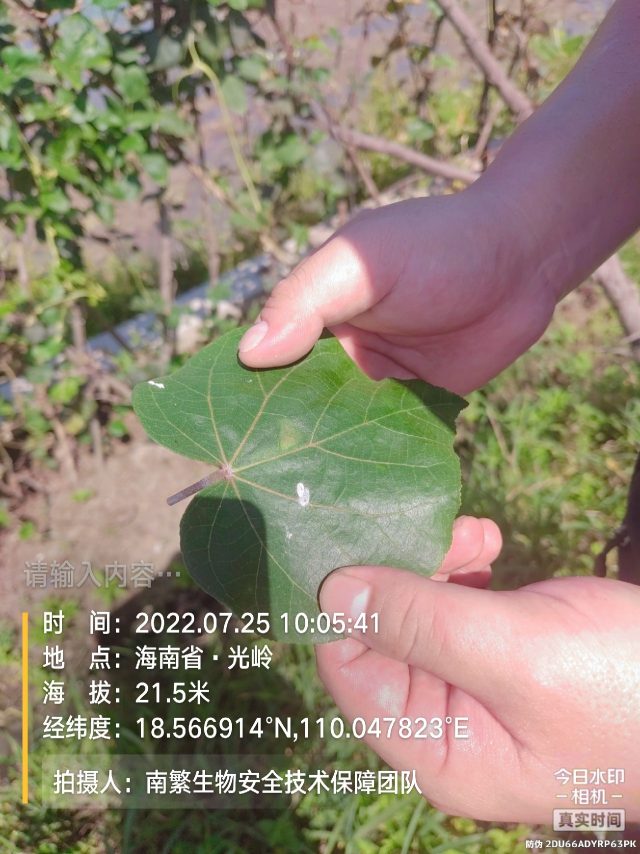 请输入内容…