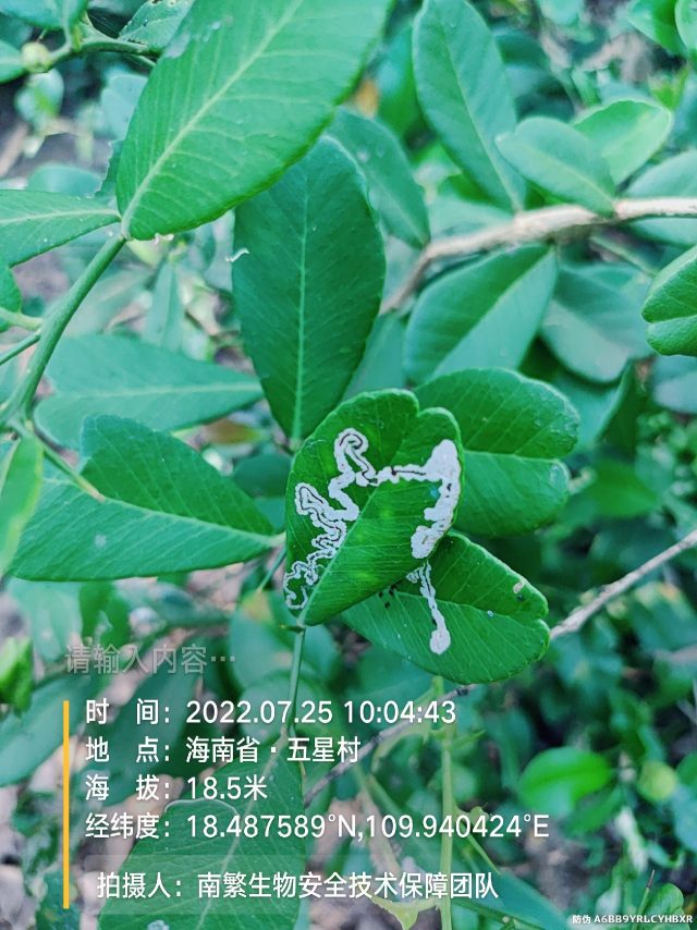 请输入内容…