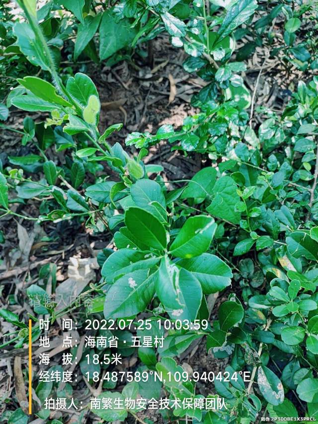请输入内容…