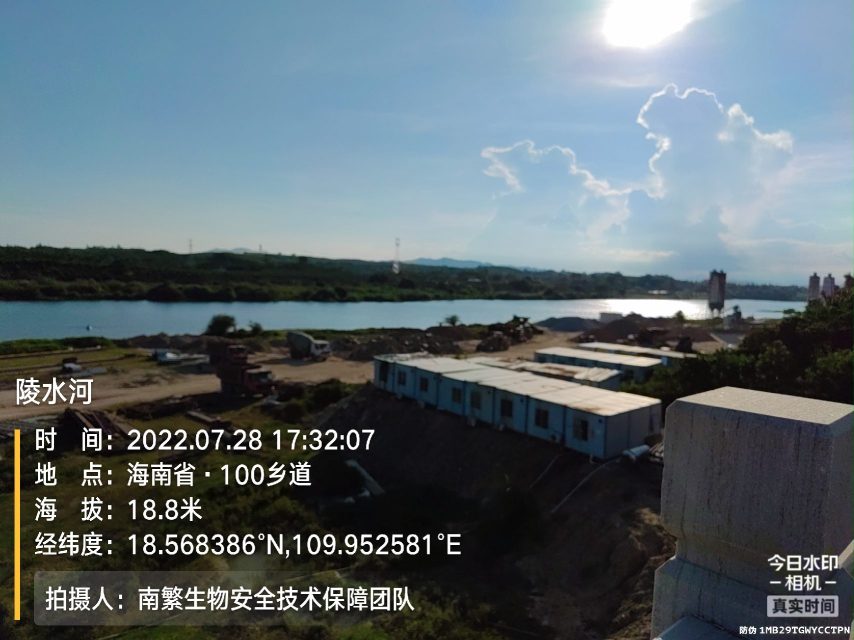 陵水河