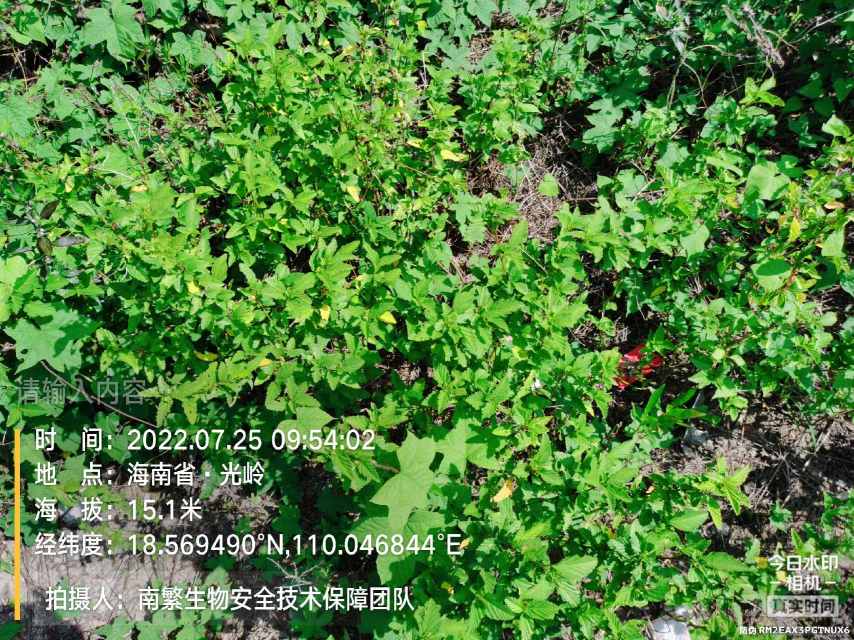 请输入内容…