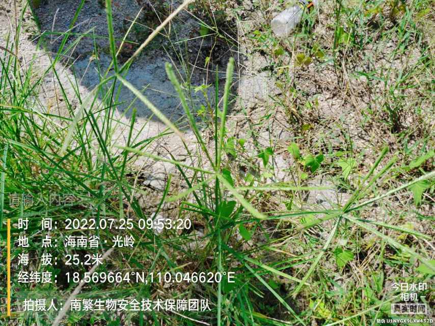 请输入内容…