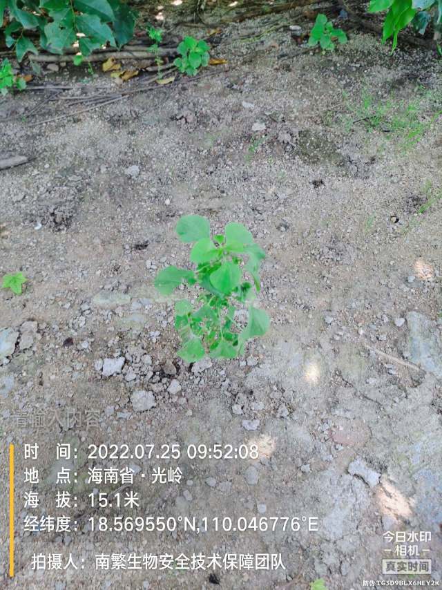请输入内容…