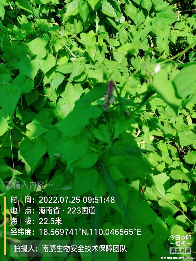 请输入内容…