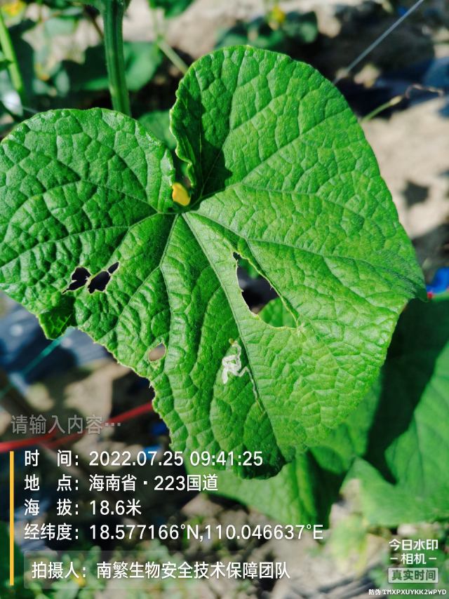 请输入内容…