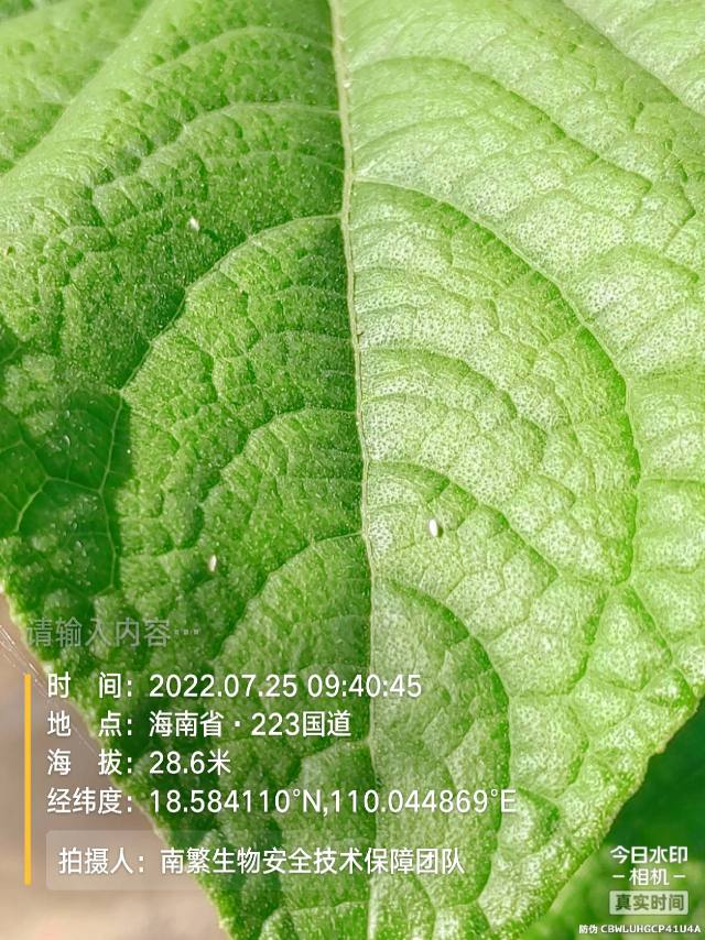 请输入内容…