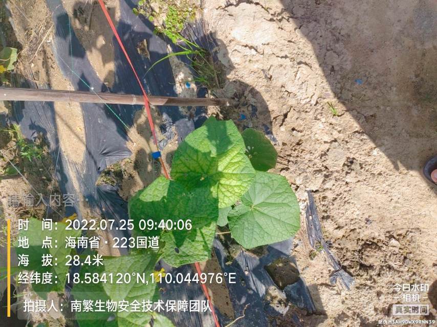 请输入内容…