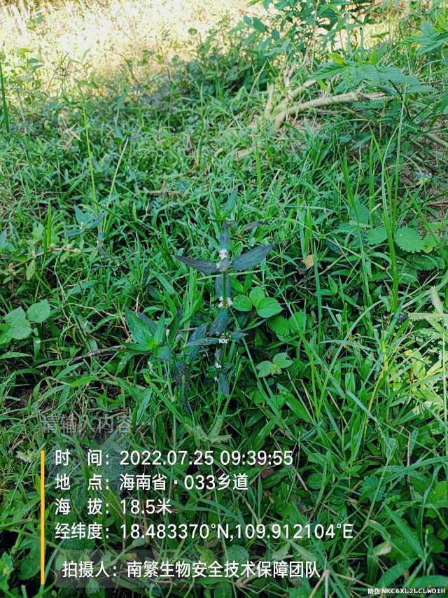 请输入内容…