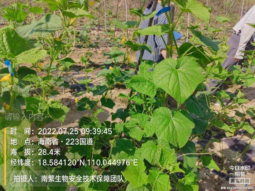 请输入内容…