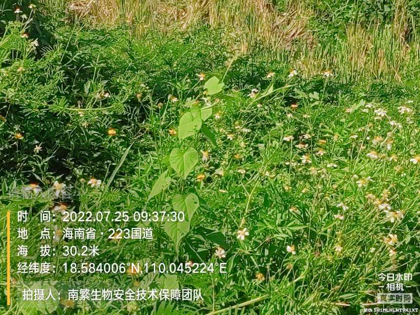请输入内容…