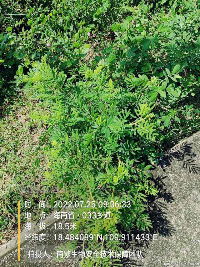 请输入内容…