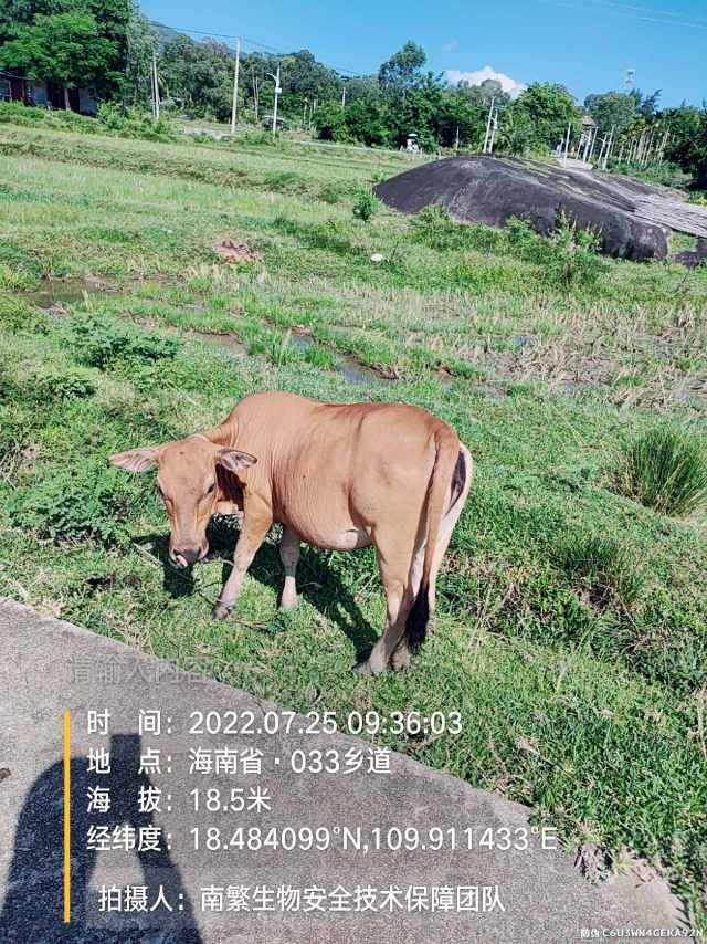 请输入内容…