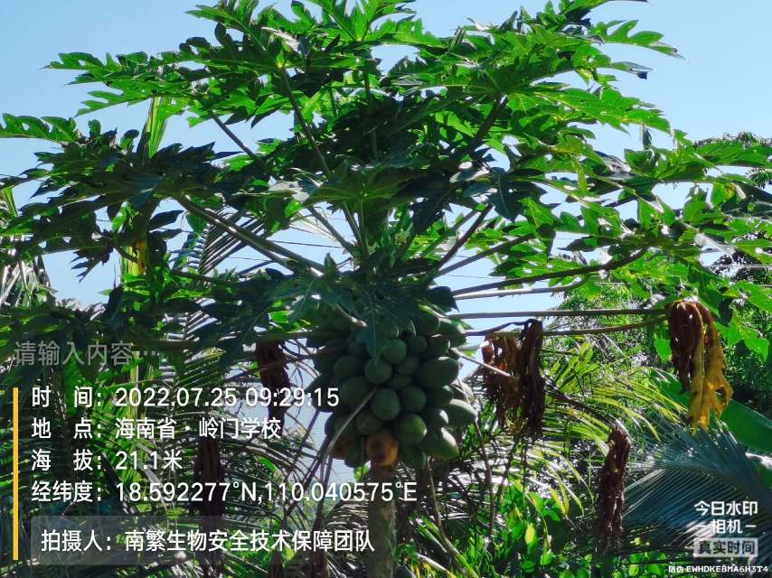 请输入内容…