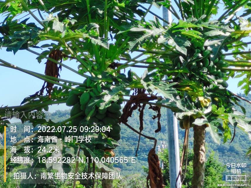 请输入内容…