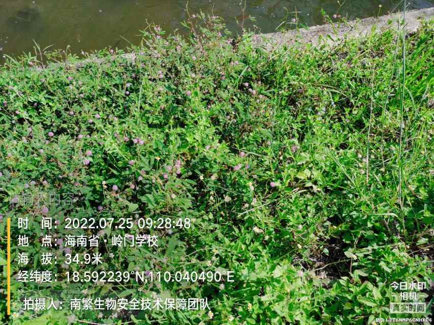 请输入内容…