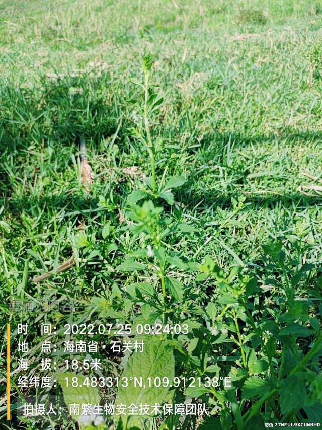 请输入内容…