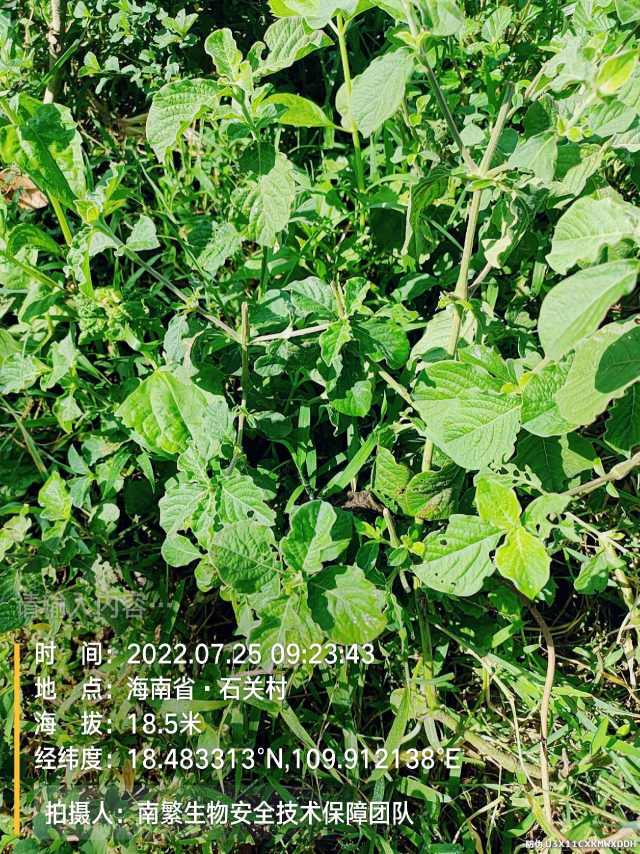 请输入内容…