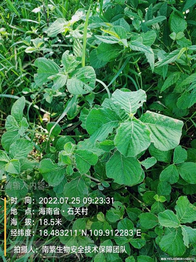 请输入内容…