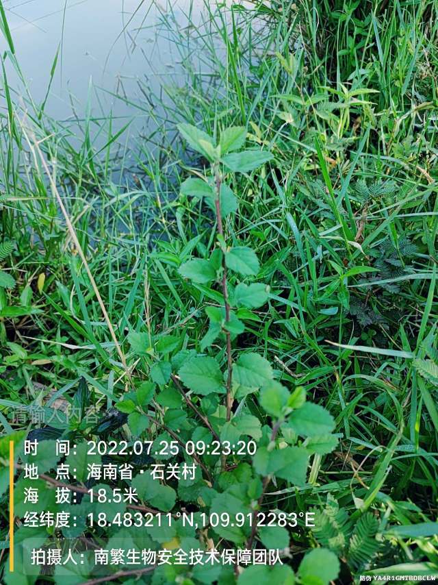 请输入内容…