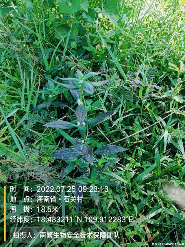 请输入内容…