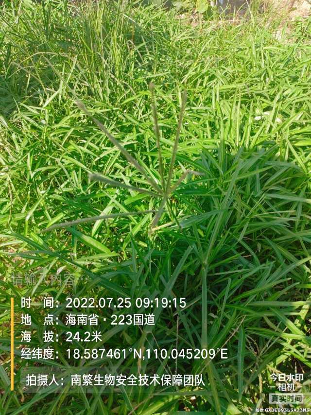 请输入内容…