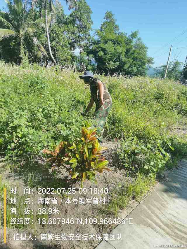 请输入内容…