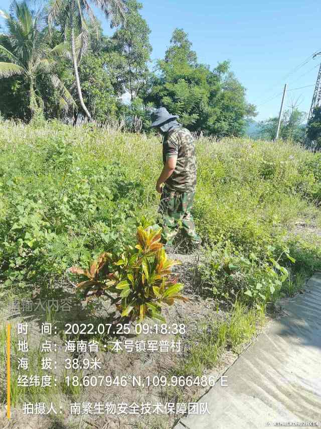 请输入内容…