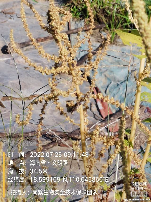 请输入内容…
