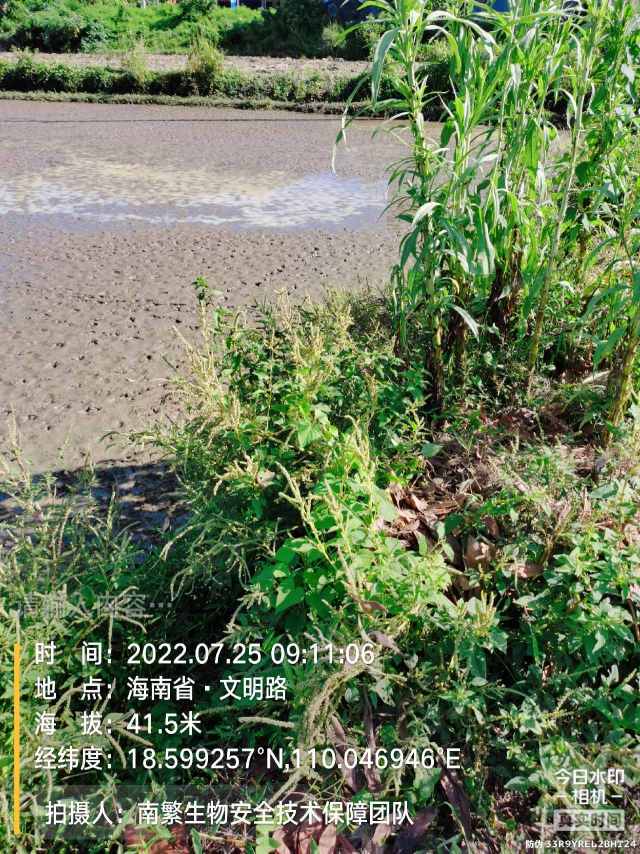请输入内容…