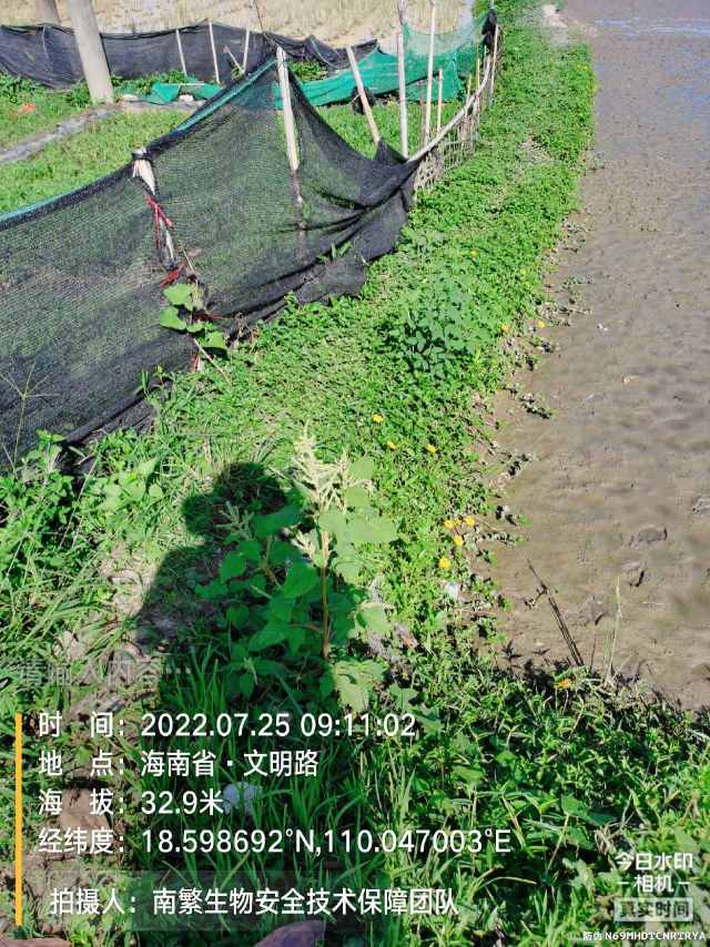 请输入内容…