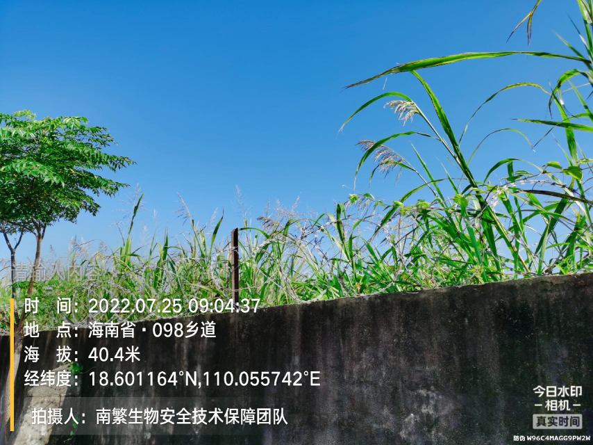 请输入内容…
