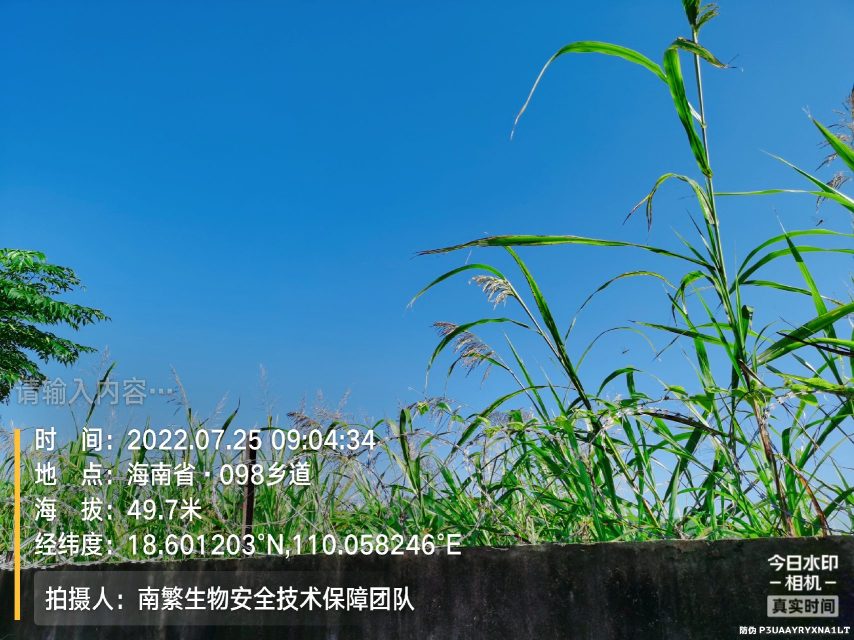 请输入内容…