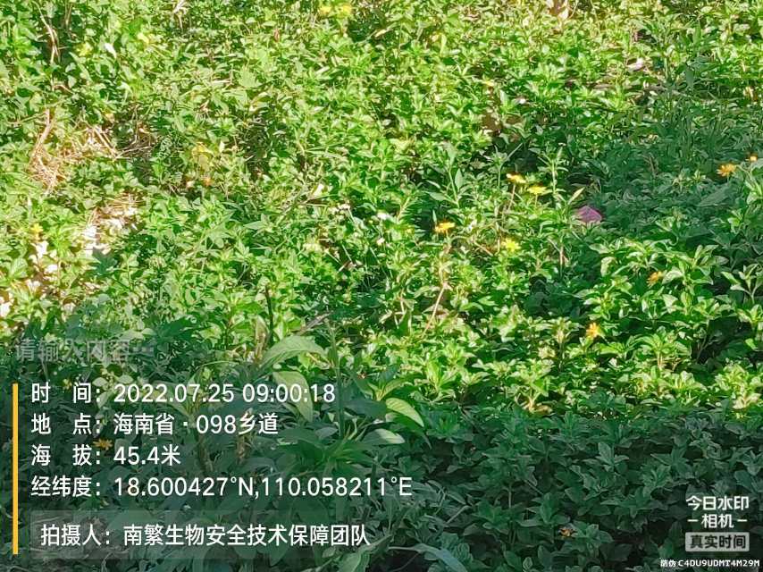 请输入内容…