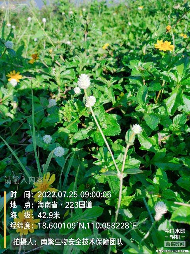 请输入内容…