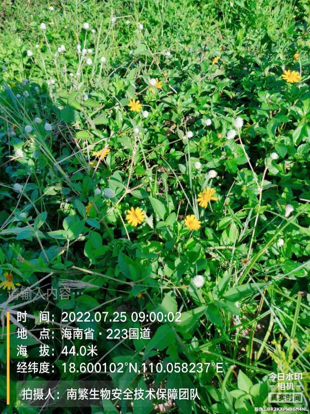 请输入内容…