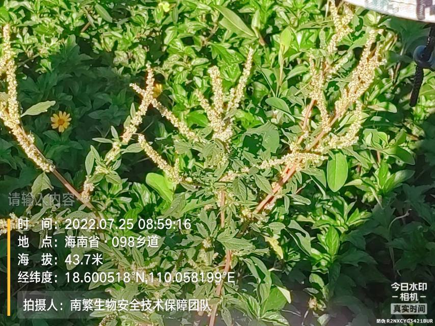 请输入内容…