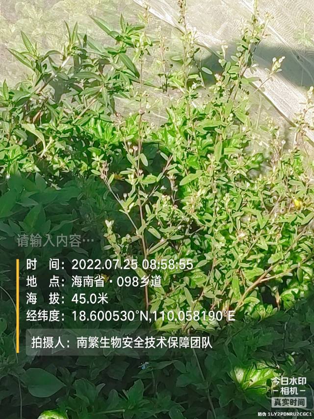 请输入内容…