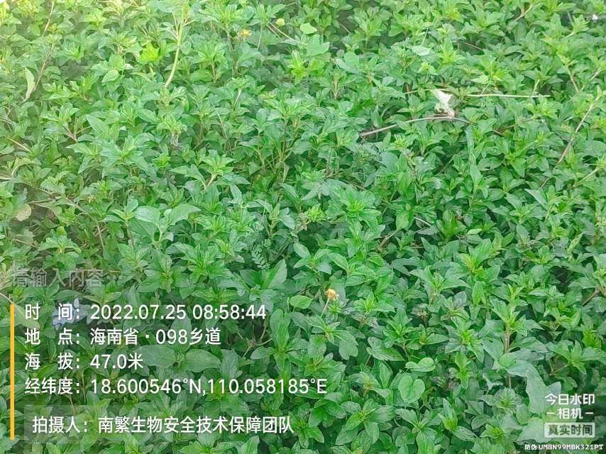 请输入内容…
