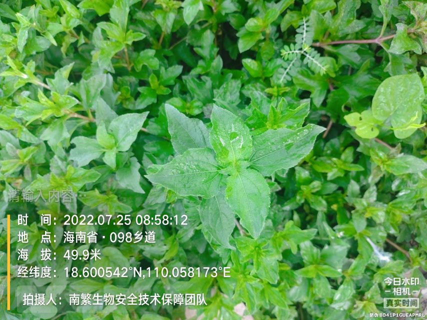 请输入内容…