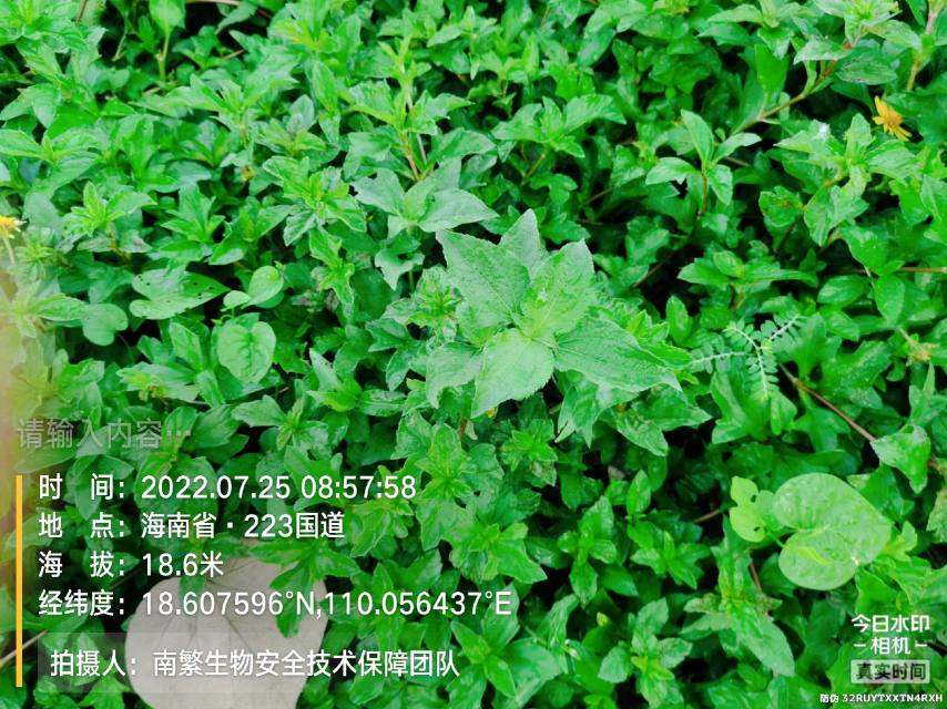 请输入内容…