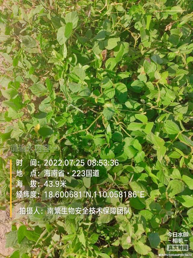 请输入内容…