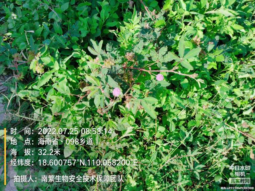 请输入内容…