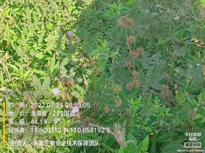 请输入内容…