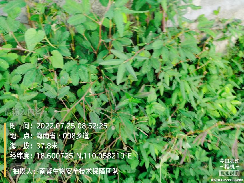 请输入内容…