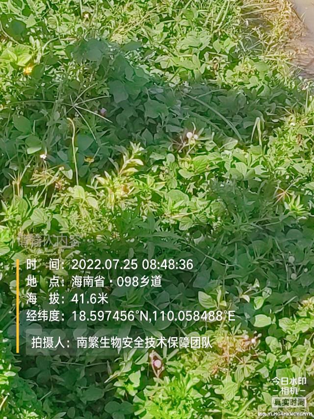 请输入内容…