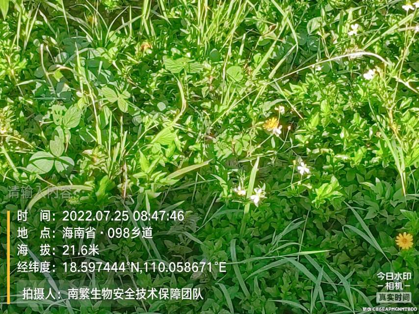 请输入内容…