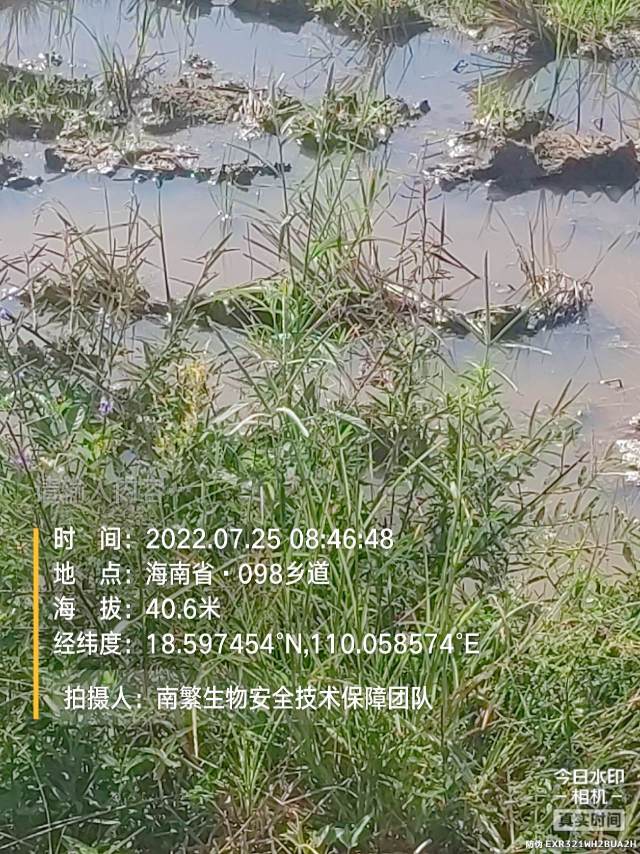 请输入内容…