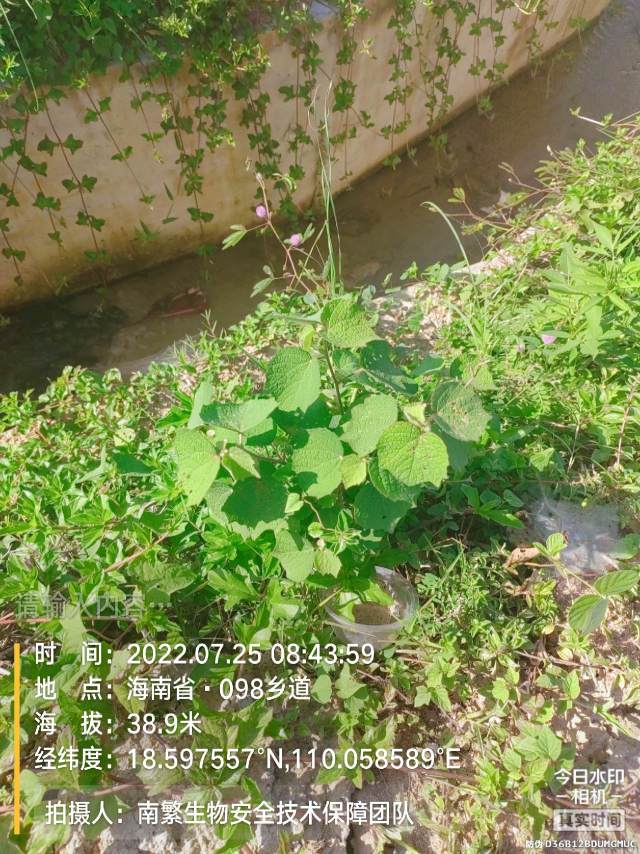 请输入内容…