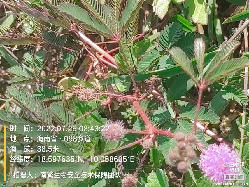 请输入内容…