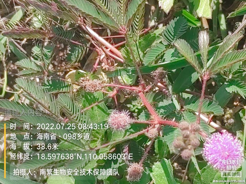 请输入内容…